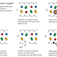 Illustration for article titled DNA Repair Earned the Nobel Prize in Chemistry, and Heres Why